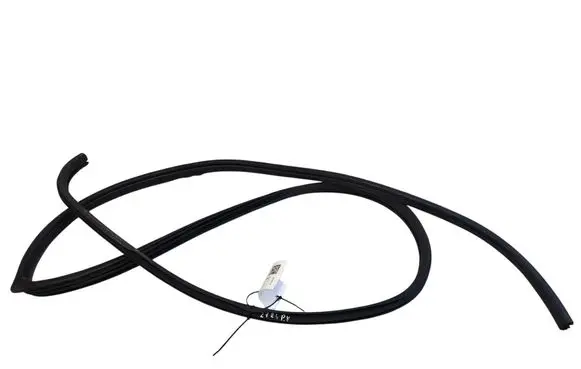 Opel Antara Rubber seal front door (on door) 