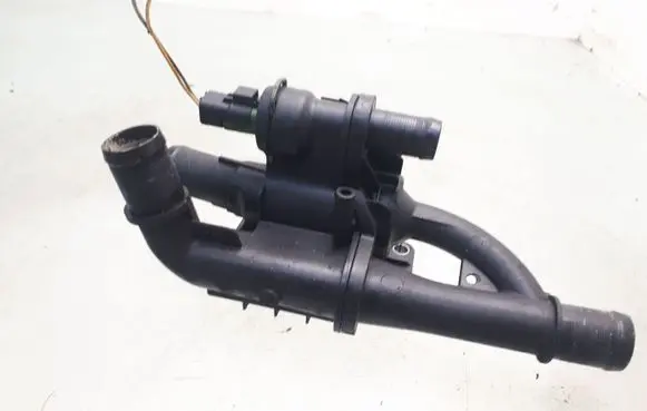 Thermostat/thermostat housing