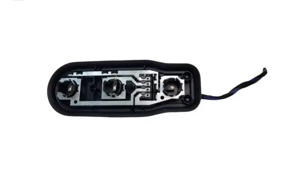 BMW 5 E39 Tail light bulb cover holder 2496339