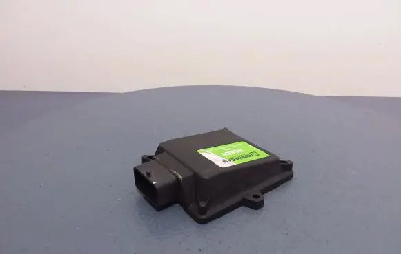 Peugeot 206 Other control units/modules 10R-036333