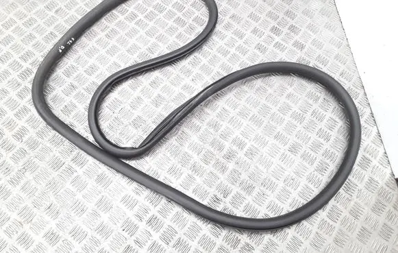 Citroen C3 Front door rubber seal 9688441680