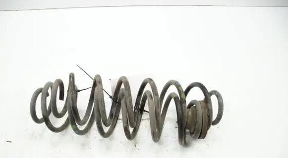 Skoda Fabia Mk3 (NJ) Rear coil spring