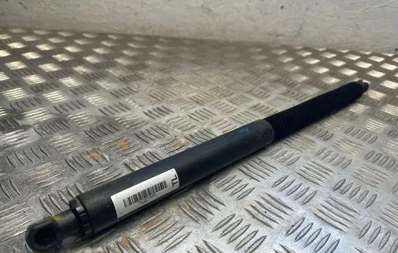 BYD Seal Tailgate/trunk strut/damper C440052