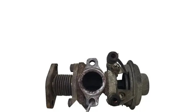 Fiat Ducato EGR valve