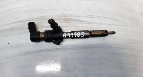 Ford S-MAX Fuel injector 
