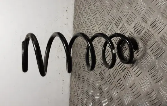 Rear coil spring