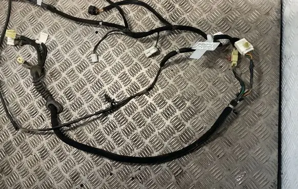 Hyundai Terracan Tailgate/trunk wiring harness 