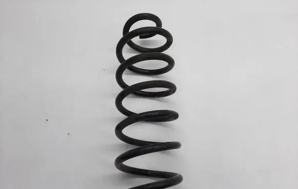 Rear coil spring