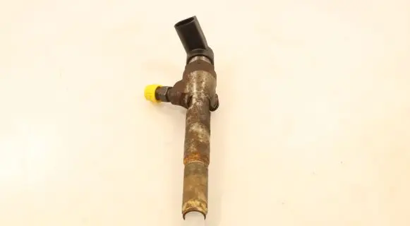 Renault Laguna III Fuel injector H8200294788