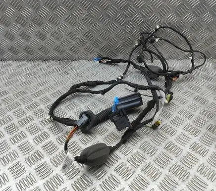 BMW X6 G06 Front door wiring loom 5A5B6A1