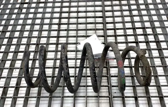 Dacia Duster II Rear coil spring 
