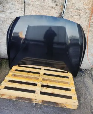 Engine bonnet/hood