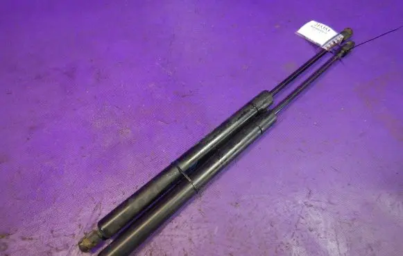 Tailgate strut