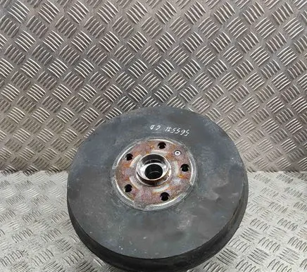 Skoda Enyaq iV Rear wheel hub 1EA609076 1EA505434S