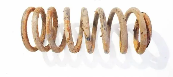 Rear coil spring