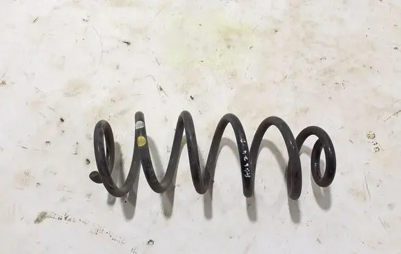 Renault Austral Rear coil spring 550206962R
