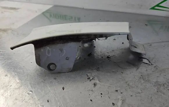 Opel Antara Rear light trim 