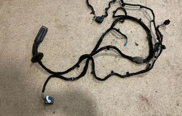 Front door wiring loom