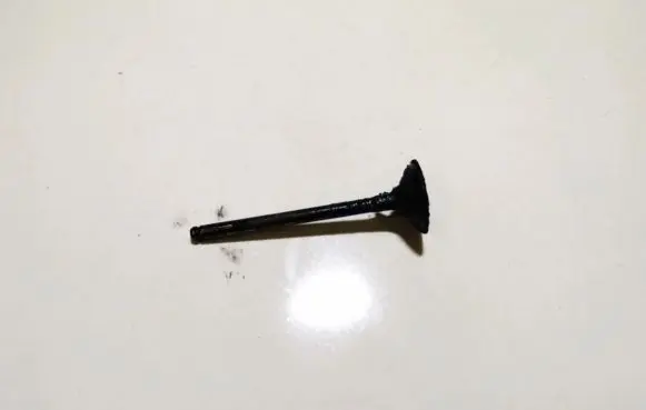 Renault Scenic I Valve 