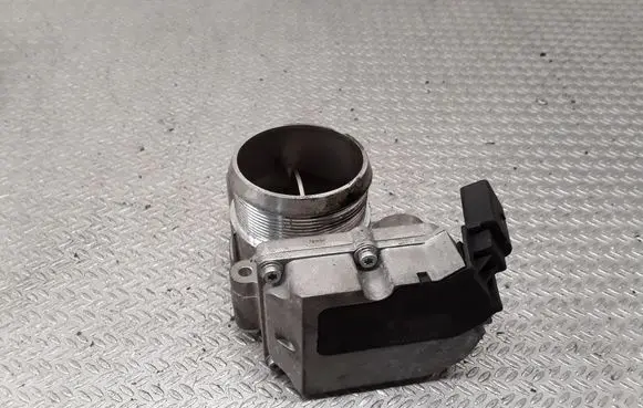 Volkswagen Phaeton Throttle valve V10810049