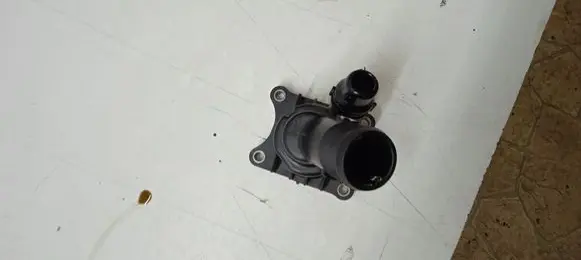 Thermostat/thermostat housing