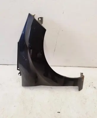 Ford Fiesta Fender