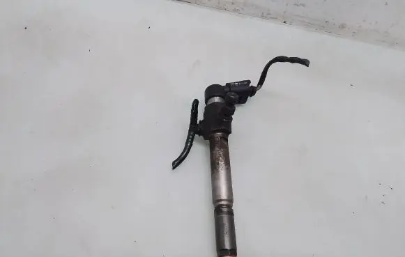 Renault Scenic II - Grand scenic II Fuel injector 8200880253
