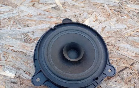 Renault Koleos I Front door speaker 28156JV00A 7606500254