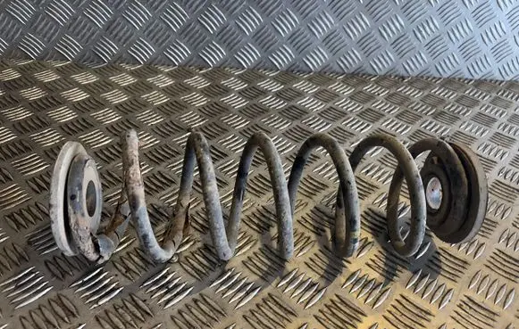 Volkswagen Golf V Rear coil spring