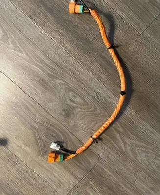 Hyundai IONIQ 6 Other wiring loom