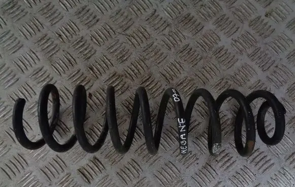Rear coil spring