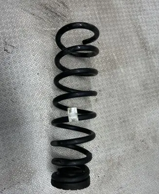 Rear coil spring