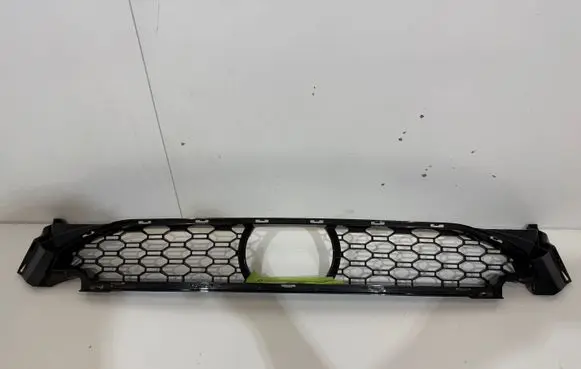 BMW X3 G01 Front bumper lower grill 8064600