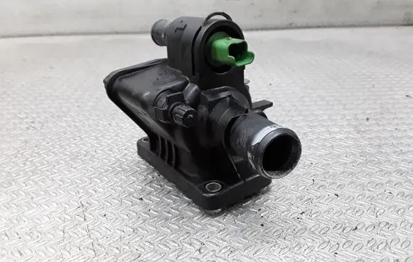 Thermostat/thermostat housing