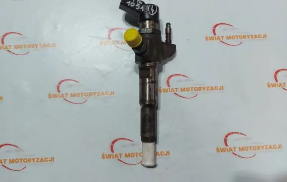 Citroen DS4 Fuel injector 9802448680