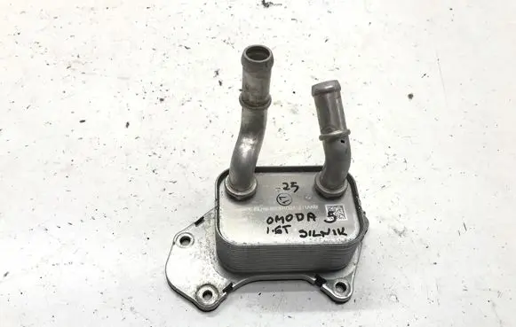 Chery Omoda 5/C5 Optional radiator F4J161013010DA 1408091648A