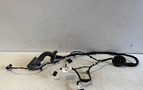 Volkswagen T-Roc Rear door wiring loom 2GA971694K