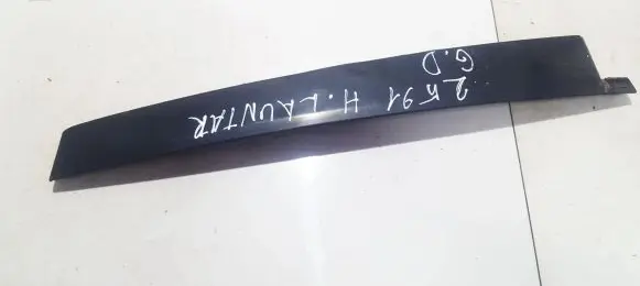 Hyundai Lantra II Rear door glass trim molding