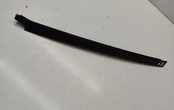 Rear door trim (molding)