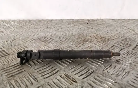 Ford Kuga I Fuel injector 8HE604H