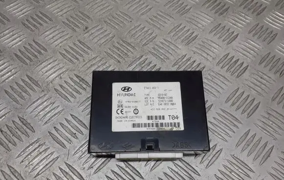 Hyundai Getz Immobilizer control unit/module 954001C200