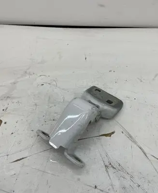 Renault Trafic III (X82) Front door lower hinge 804005400R