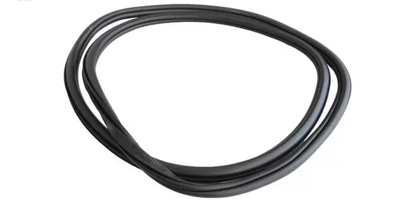 Volkswagen ID.3 Rubber seal front coupe door 10A867911