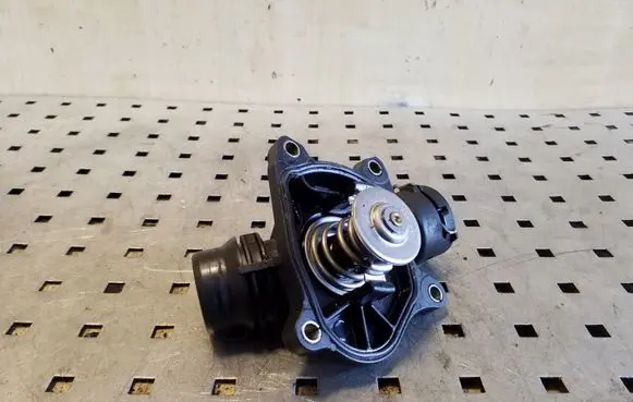 Thermostat/thermostat housing