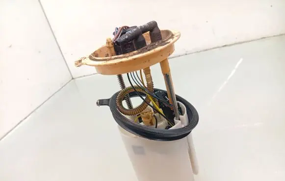 Volkswagen Golf VI In-tank fuel pump 1K0919050J