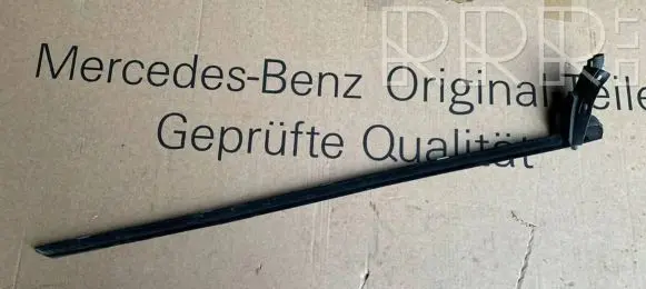 Mercedes-Benz CL C215 Front door trim (molding) A2157200124 2157200124