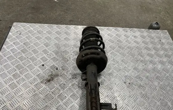 Opel Insignia A Front shock absorber/damper 13245977