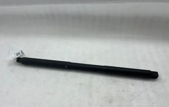 Mercedes-Benz GLS X166 Tailgate/trunk strut/damper A1669803764