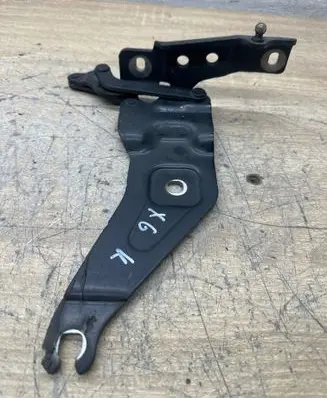 BMW X6 E71 Engine bonnet/hood hinges 