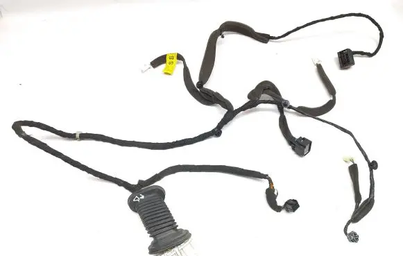 Front door wiring loom